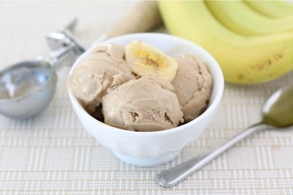 Dairy Free Homemade Ice Cream